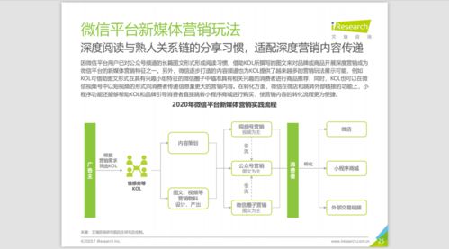 2020中國新媒體營銷策略白皮書 